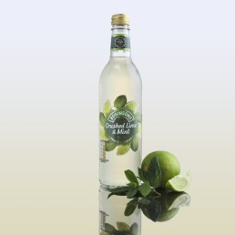 Robinsons Lime & Mint Cordial product Photography styled with fresh Mint and Lime